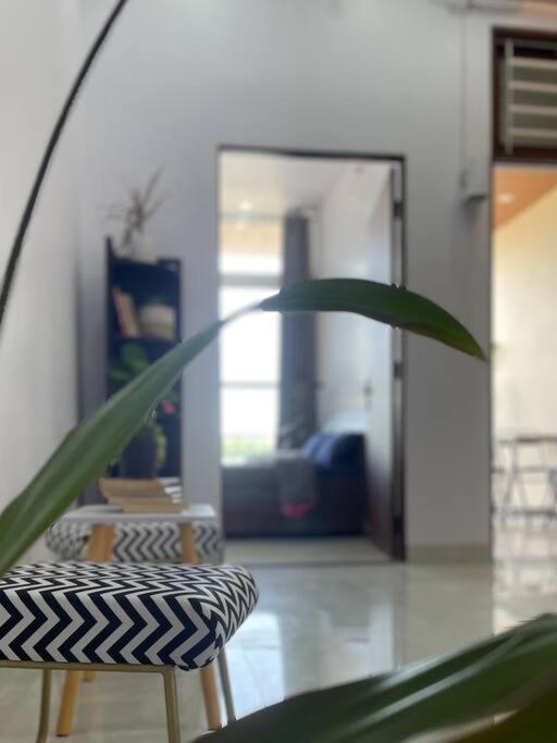 Bark & Bash-Villa-House Divisione di Divisione di Jaipur Esterno foto