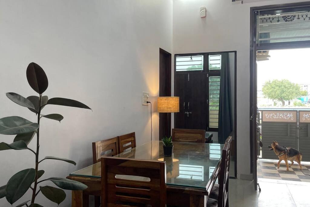 Bark & Bash-Villa-House Divisione di Divisione di Jaipur Esterno foto